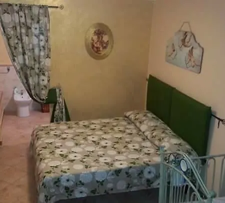 Dalmazia Отель типа 
